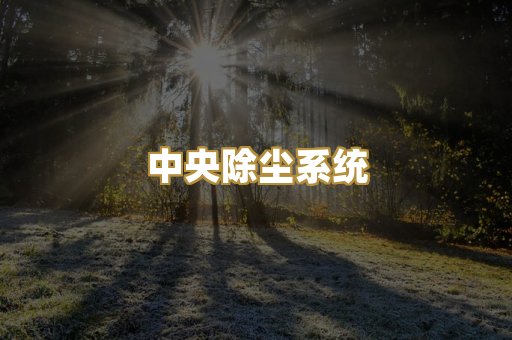 中央除尘系统